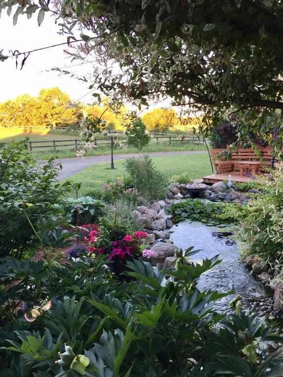 Serenity Ranch Bed & Breakfast Ancaster Eksteriør billede